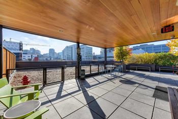 Rooftop dog run
